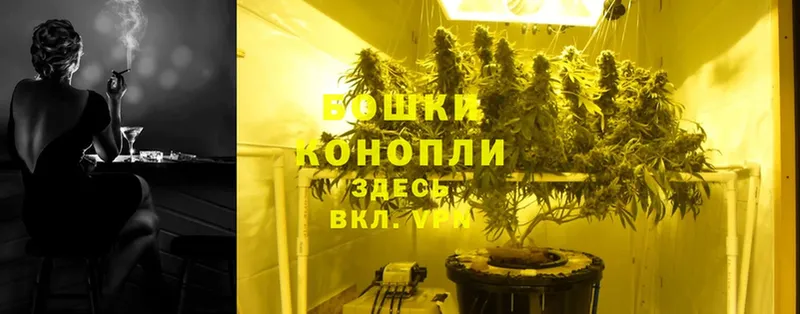 Конопля LSD WEED  Енисейск 